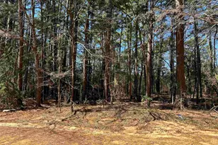 1473 Red Bud Cir, Bullard, TX 75757 - Photo 2