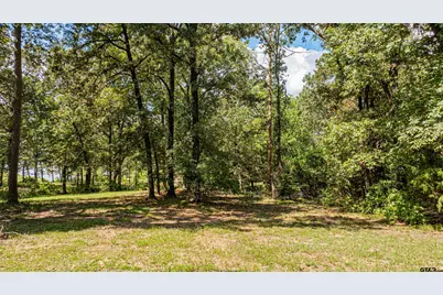 0000 Pr 52368, Pittsburg, TX 75686 - Photo 16