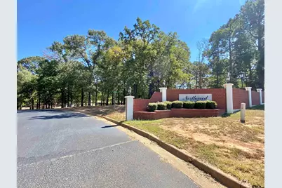 Lot 27 Leisure Ln, Frankston, TX 75763 - Photo 8