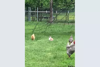 1100 E Rabbit Cove Road, Quinlan, TX 75474 - Photo 10