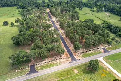 12159 Pinecrest Dr, Flint, TX 75762 - Photo 4