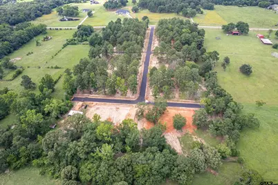 12205 Suzanne Ln, Flint, TX 75762 - Photo 8