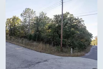 555 and 559 Holly Glen, Murchison, TX 75778 - Photo 2