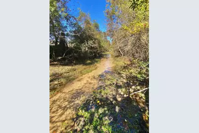 485 Pr 6142, Grapeland, TX 75844 - Photo 6