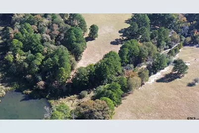 485 Pr 6142, Grapeland, TX 75844 - Photo 4