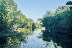 101 Pr 5568, Alba, TX 75410 - Photo 44