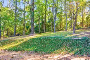 14525 Lake Rd W, Tyler, TX 75709 - Photo 12