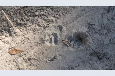 000 Cr 4330, LaRue, TX 75770 - Photo 4