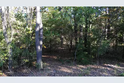 000 Cr 4330, LaRue, TX 75770 - Photo 10