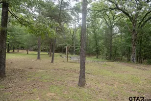 12998 Pr 7301, Brownsboro, TX 75756 - Photo 34