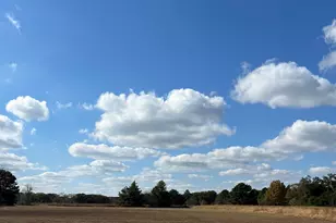 1190 Co Rd 3900, Hawkins, TX 75765 - Photo 28