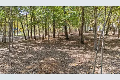 Tbd Hickory Trl, Flint, TX 75762 - Photo 12