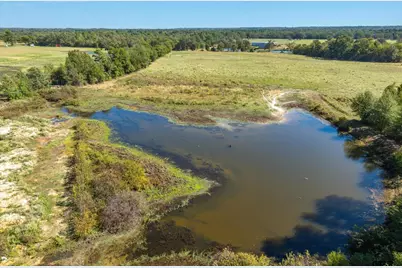 806 County Road 2918, Mineola, TX 75773 - Photo 14