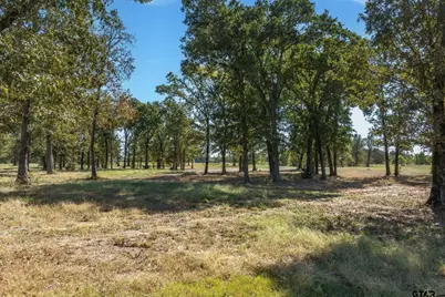 806 County Road 2918, Mineola, TX 75773 - Photo 10