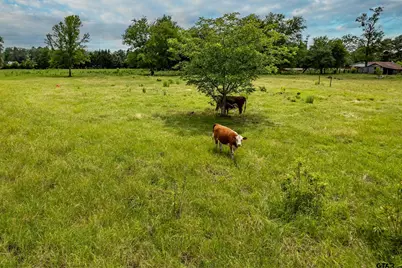 7037 E U.S. Hwy 80, Hawkins, TX 75765 - Photo 36