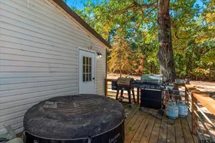 170 Private Rd 52423, Leesburg, TX 75451 - Photo 4