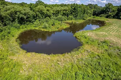 17823 County Road 132, Flint, TX 75762 - Photo 48