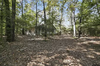 405 Evening Shadows, Holly Lake Ranch, TX 75765 - Photo 6