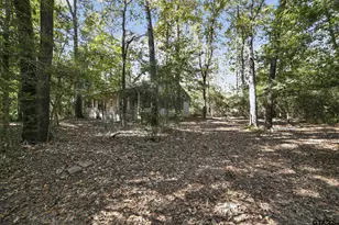 405 Evening Shadows, Holly Lake Ranch, TX 75765 - Photo 6