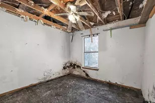 405 Evening Shadows, Holly Lake Ranch, TX 75765 - Photo 12