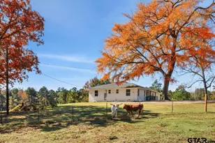 7793 US-80, Hawkins, TX 75765 - Photo 2