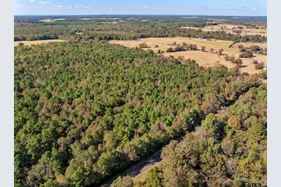 Lot 6 Creek Bend Trail, Troup, TX 75789 - Photo 8