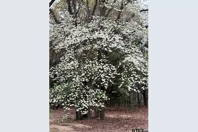 19343 Fm 1804, Lindale, TX 75771 - Photo 32