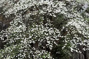 19343 FM1804, Lindale, TX 75771 - Photo 32