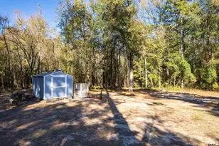 105 Llano, Scroggins, TX 75480 - Photo 4