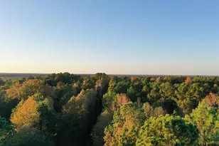 0 Co Rd 2117, Douglassville, TX 75560 - Photo 26