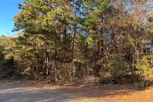 0 Co Rd 2117, Douglassville, TX 75560 - Photo 30