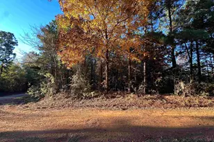 0 Co Rd 2117, Douglassville, TX 75560 - Photo 34