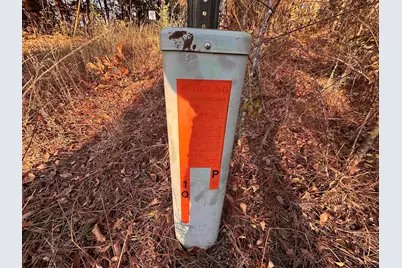 0 Co Rd 2117, Douglassville, TX 75560 - Photo 32