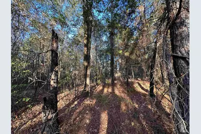 0 Co Rd 2117, Douglassville, TX 75560 - Photo 36