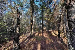 0 Co Rd 2117, Douglassville, TX 75560 - Photo 36