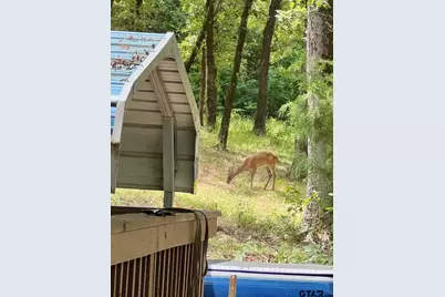 331 Private Road 5387, Yantis, TX 75497 - Photo 32