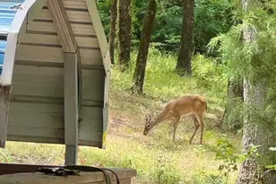 331 Private Rd 5387, Yantis, TX 75497 - Photo 32