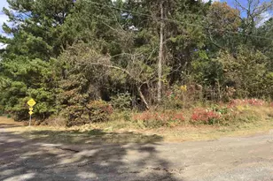 20317 Holly Hills Dr, LaRue, TX 75770 - Photo 14