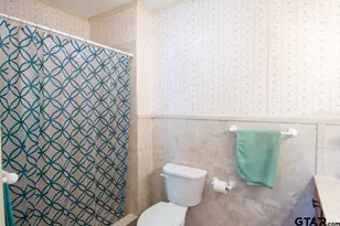 460 Hickory, Van, TX 75790 - Photo 10