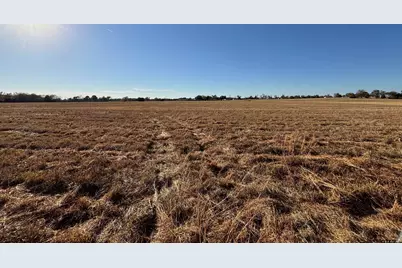 000 Fm 1653, Ben Wheeler, TX 75754 - Photo 12