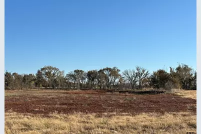 000 Fm 1653, Ben Wheeler, TX 75754 - Photo 8