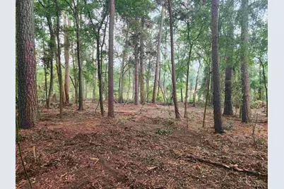 371 Cr 4152, Pittsburg, TX 75686 - Photo 2