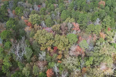 Tbd Stag Rd, Gilmer, TX 75644 - Photo 22