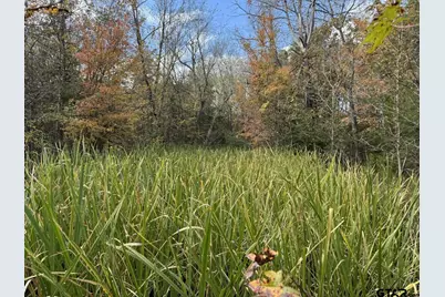 Tbd Stag Rd, Gilmer, TX 75644 - Photo 14