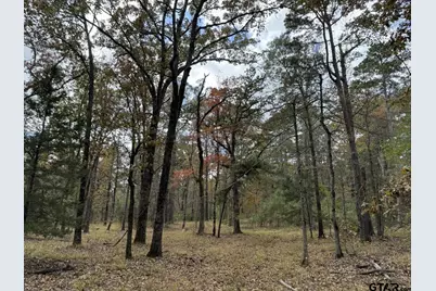 Tbd Stag Rd, Gilmer, TX 75644 - Photo 44