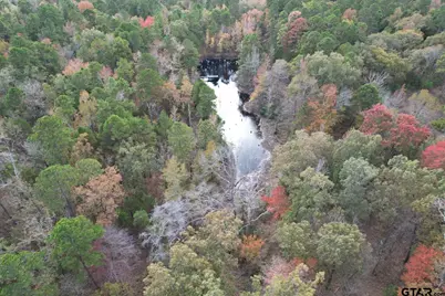 Tbd Stag Rd, Gilmer, TX 75644 - Photo 10