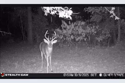 Tbd Stag Rd, Gilmer, TX 75644 - Photo 6