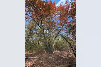 Tbd Stag Rd, Gilmer, TX 75644 - Photo 28