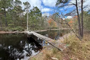 Tbd Stag Rd, Gilmer, TX 75644 - Photo 1