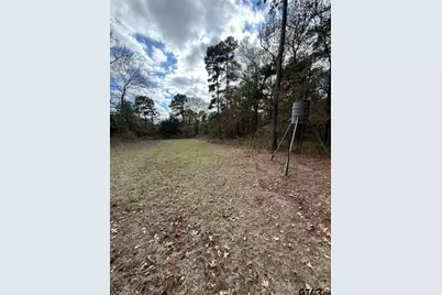 Tbd Stag Rd, Gilmer, TX 75644 - Photo 30